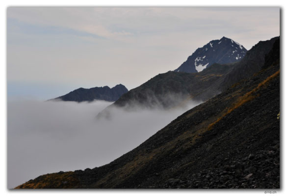 NZ0660.Nelson Lakes N.P.over the fog