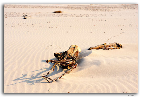 PL293.Leba.Holzlobster