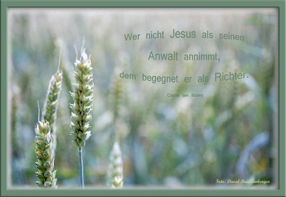 S0089.Aehre,Lueg,CH.Text: Corrie Ten Boom