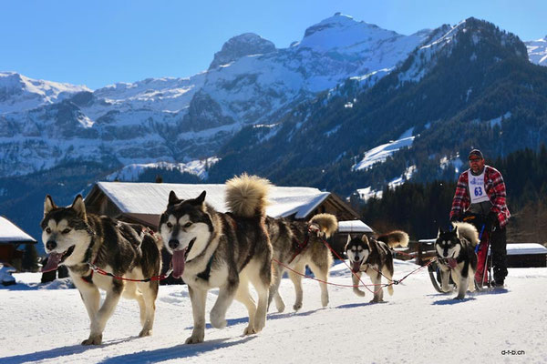 CH1348.SH-Rennen Lenk.Hotz Reto