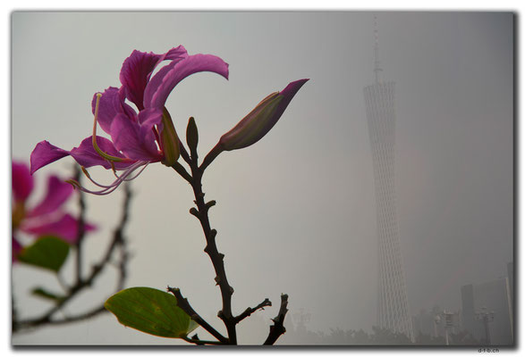 CN0442.Guangzhou.Canton Tower