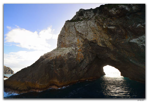 NZ0149.Bay of Islands.Motukokako.Hole in the Rock