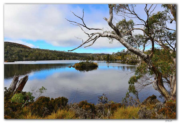 AU1359.Overland Track.Lake Windemere