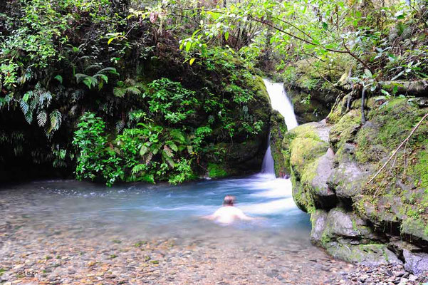 Neuseeland.Pelorus Bridge. 2nd.Waterfall