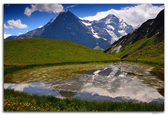 GW0317.Alpsee