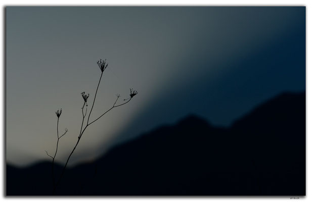 GR0161.Mt.Olympus