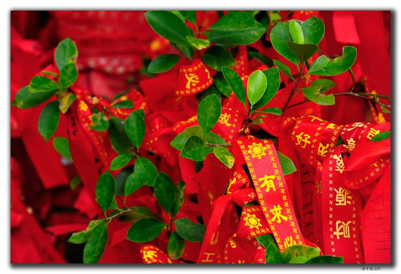 CN0466.Sanya.Luhuitou Park.Glücksbänder