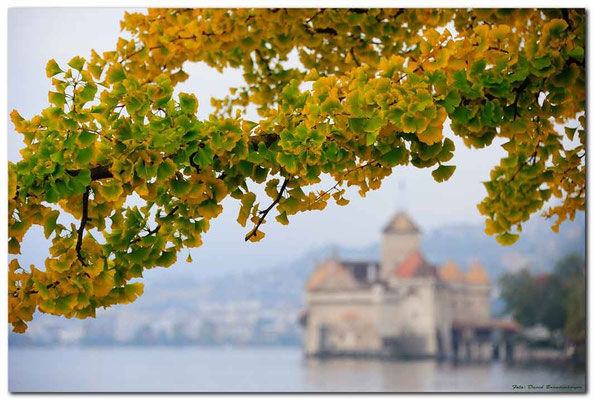 A0720.Château de Chillon.CH