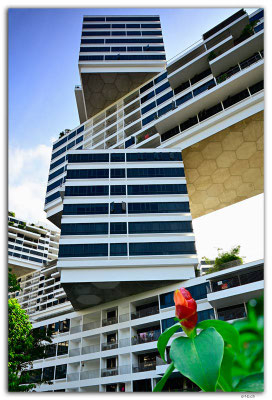 SIN0036.The Interlace