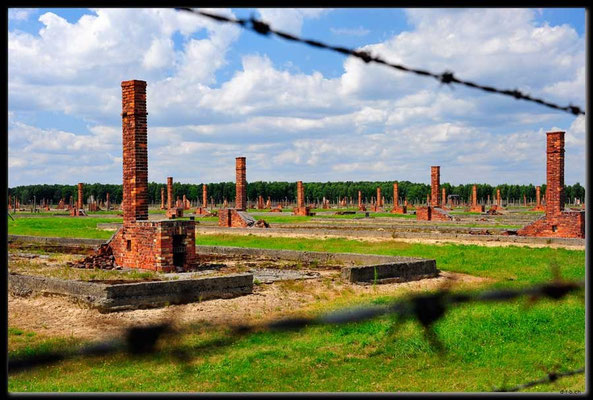 PL034.Birkenau.zerstörtes Barrakenfeld