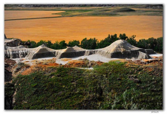 CA0731.Horsethief Canyon
