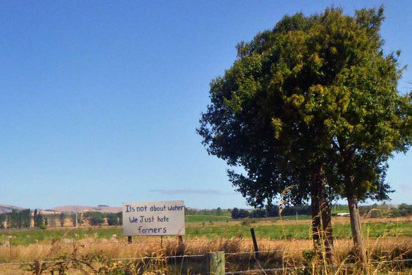 NZ.Cheviot.