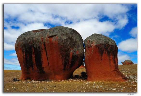 AU0989.Murphy's Haystacks