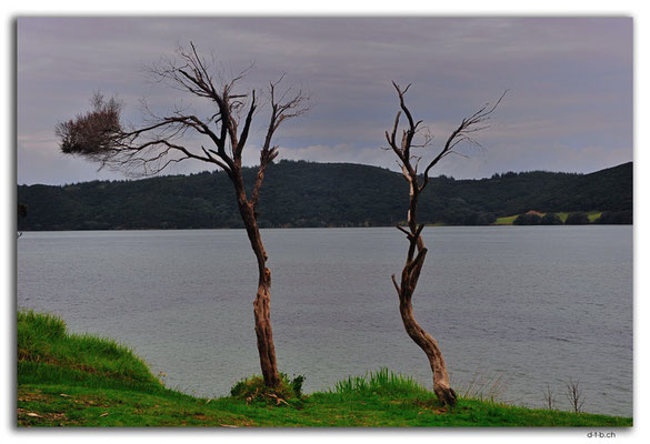 NZ0105.Houhora Heads