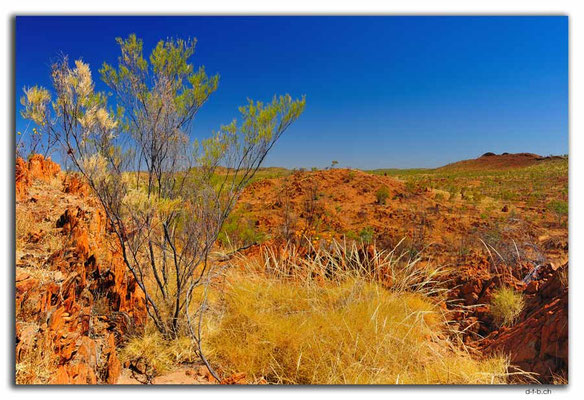 AU0206.Halls Creek.China Wall