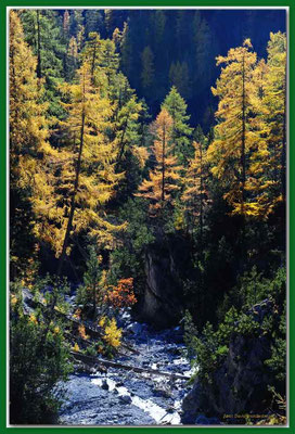 A0580.Nationalpark.CH