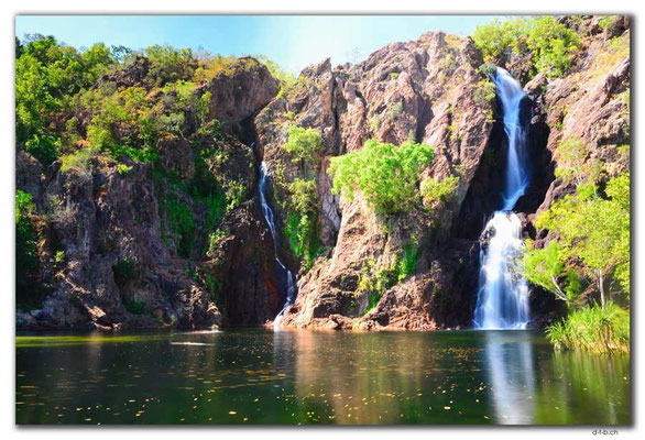 AU0078.Litchfield N.P. Wangi Falls