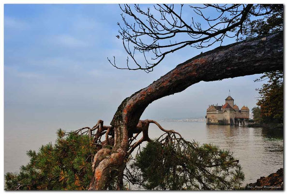 A0721.Château de Chillon.CH