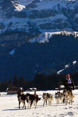 CH1383.SH-Rennen Lenk.Lüthi Ueli