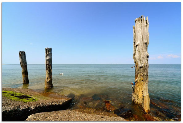 DE084.Hallig Hooge.Pfähle
