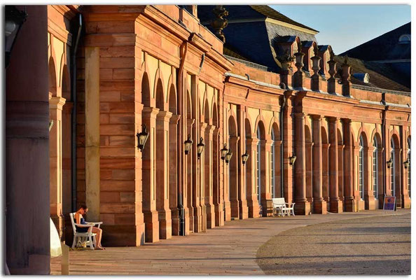 DE205.Schwetzingen.Schlossgarten