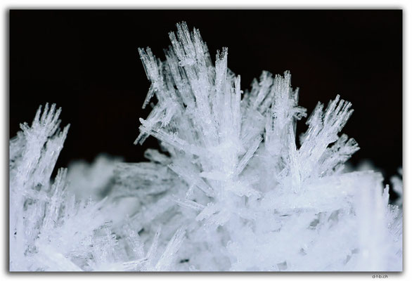 GW0647.Ice crystals