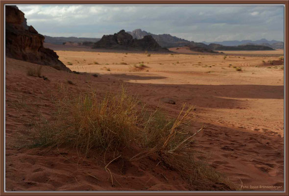 JO008.Strauch.Wadi Rum