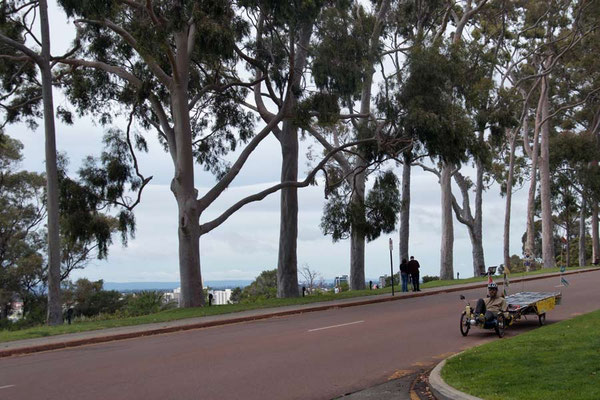 AU: Perth. Leaving Kings Park (Photo: Tom Hogarth)