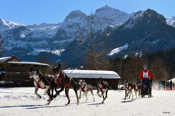 CH1350.SH-Rennen Lenk.Gisin Florian