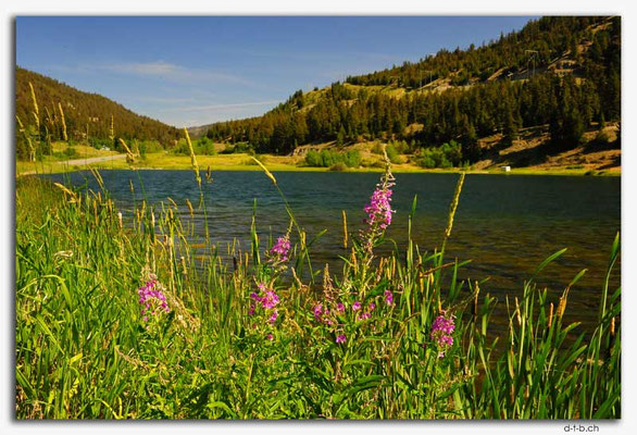 CA0537.Alkali Lake