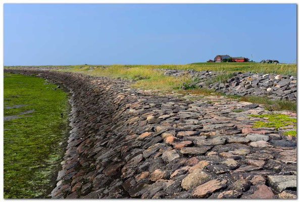 DE079.Hallig Hooge.Damm