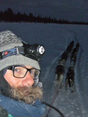 Schweden, Kiruna, Hundeschlitten