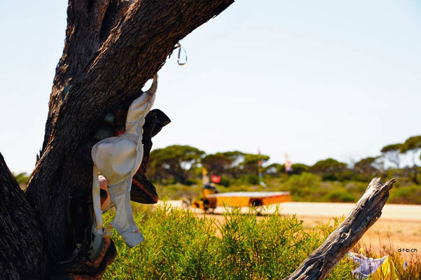 AU: Solatrike reaches 30'000 km at the Bra-Tree