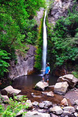 Neuseeland.Wasphen Falls