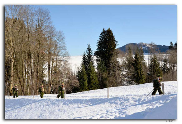 A0823.Silvesterchlausen.Waldstatt