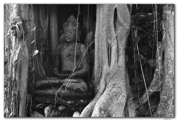 ID0141.Ubud.ARMA.Überwachsene Statue