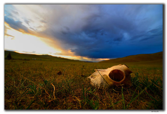 MN0073.Orkhon Valley