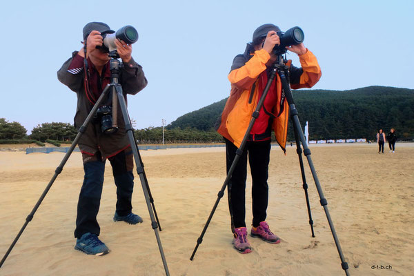 Südkorea, Busan13