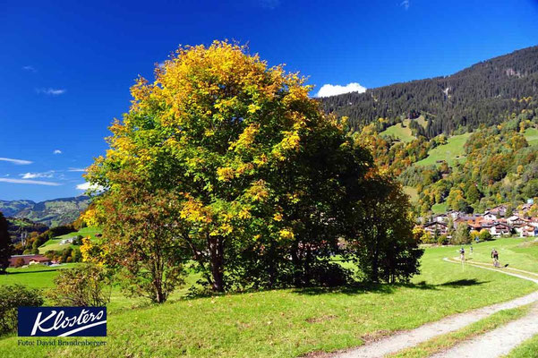 P0072.Promenade.Klosters.CH