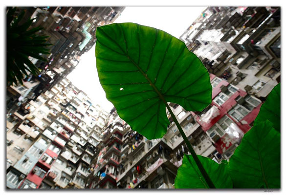 HK0144.Fok Cheong Bldg