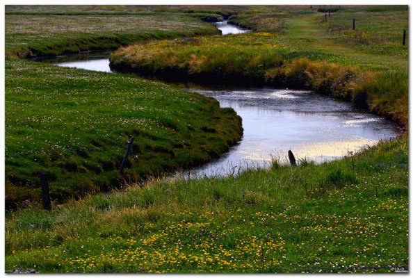 DE082.Hallig Hooge.Kanal