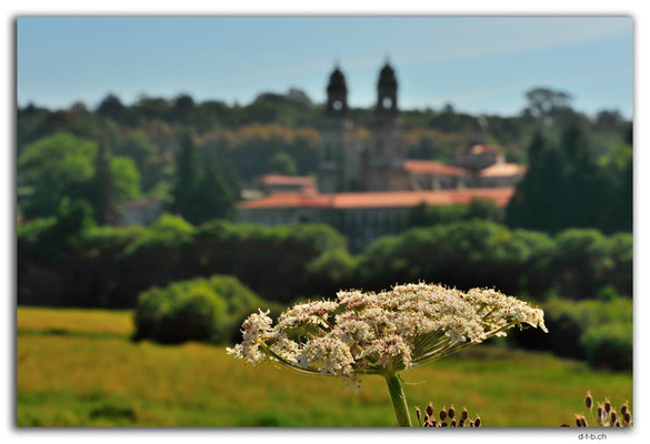 ES0153.Monastery of Sobrado