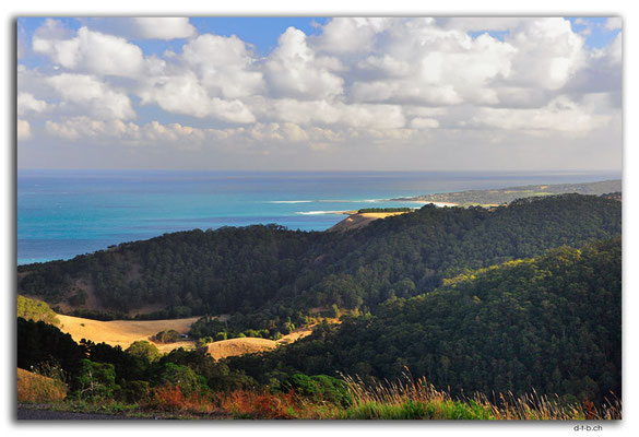 AU1196.Skenes Creek