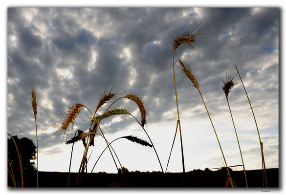 PL237.Morag.Himmel