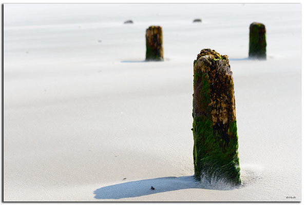 DE092.Amrum.Pflöcke