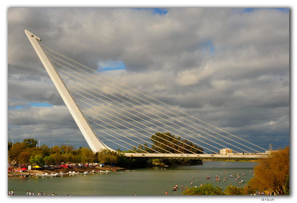ES0071.Sevilla.Puente del Alamillo