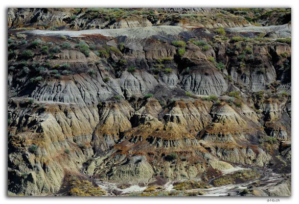 CA0718.Horseshoe Canyon