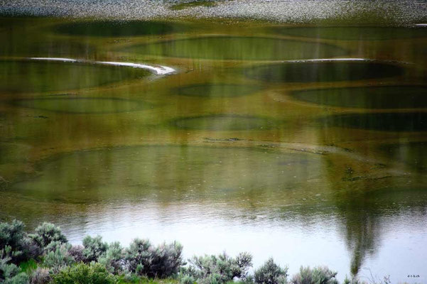 CA0247 Spotted Lake