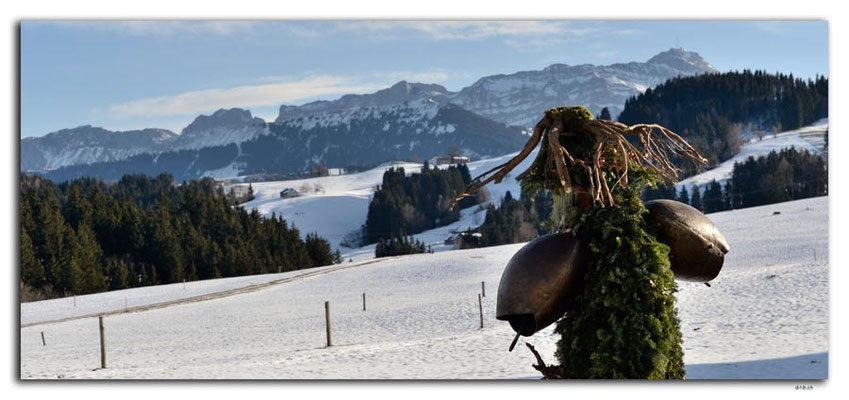 A0847.Silvesterchlausen.Waldstatt