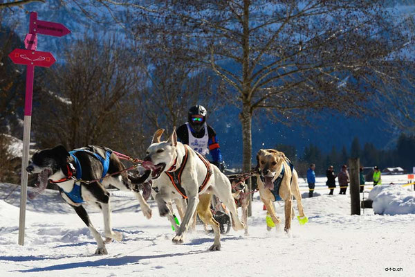 CH1358.SH-Rennen Lenk.Stettler Fabio